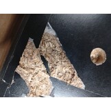 vidaXL Platenkast 85x38x48 cm bewerkt hout zwart