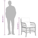 vidaXL Tuinstoelen 2 st met kussens poly rattan beige