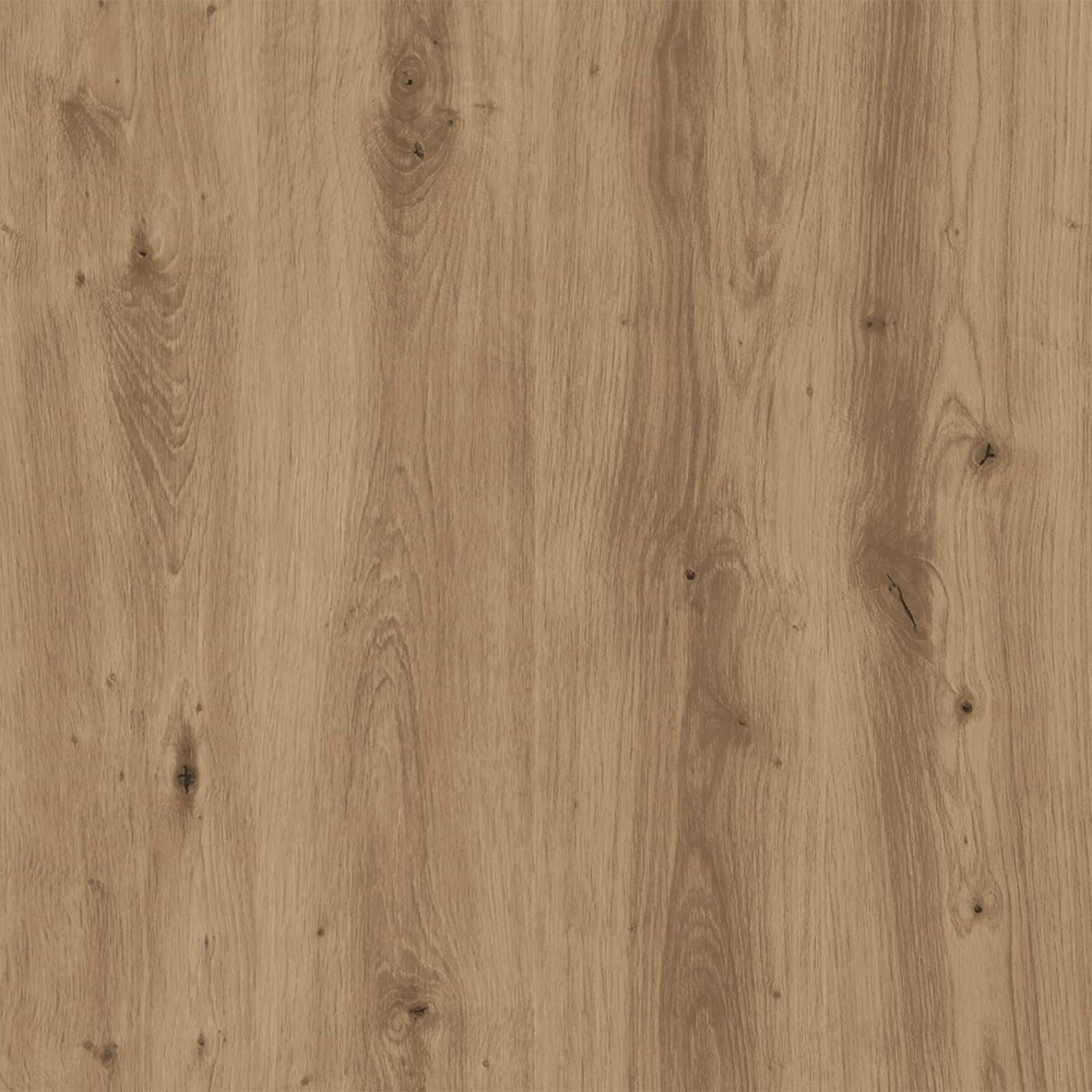 vidaXL Wandgemonteerde Schoenkast ARNHEM 71 x 17 x 43 cm Bewerkt hout
