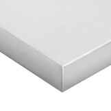 vidaXL Wandschappen 2 st 100x23,5 cm roestvrijstaal zilverkleurig