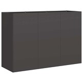 Plantenbak Koudgewalst Staal Zwart 120x40x80 cm - 34% Korting
