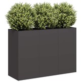 Plantenbak Koudgewalst Staal Zwart 120x40x80 cm - 34% Korting