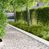 VidaXL Gazonrand Staal Wit 30x (103x15cm) - 34% Korting