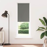 Verduisterend Rolgordijn Grijs 65x230cm Polyester - 32% Korting