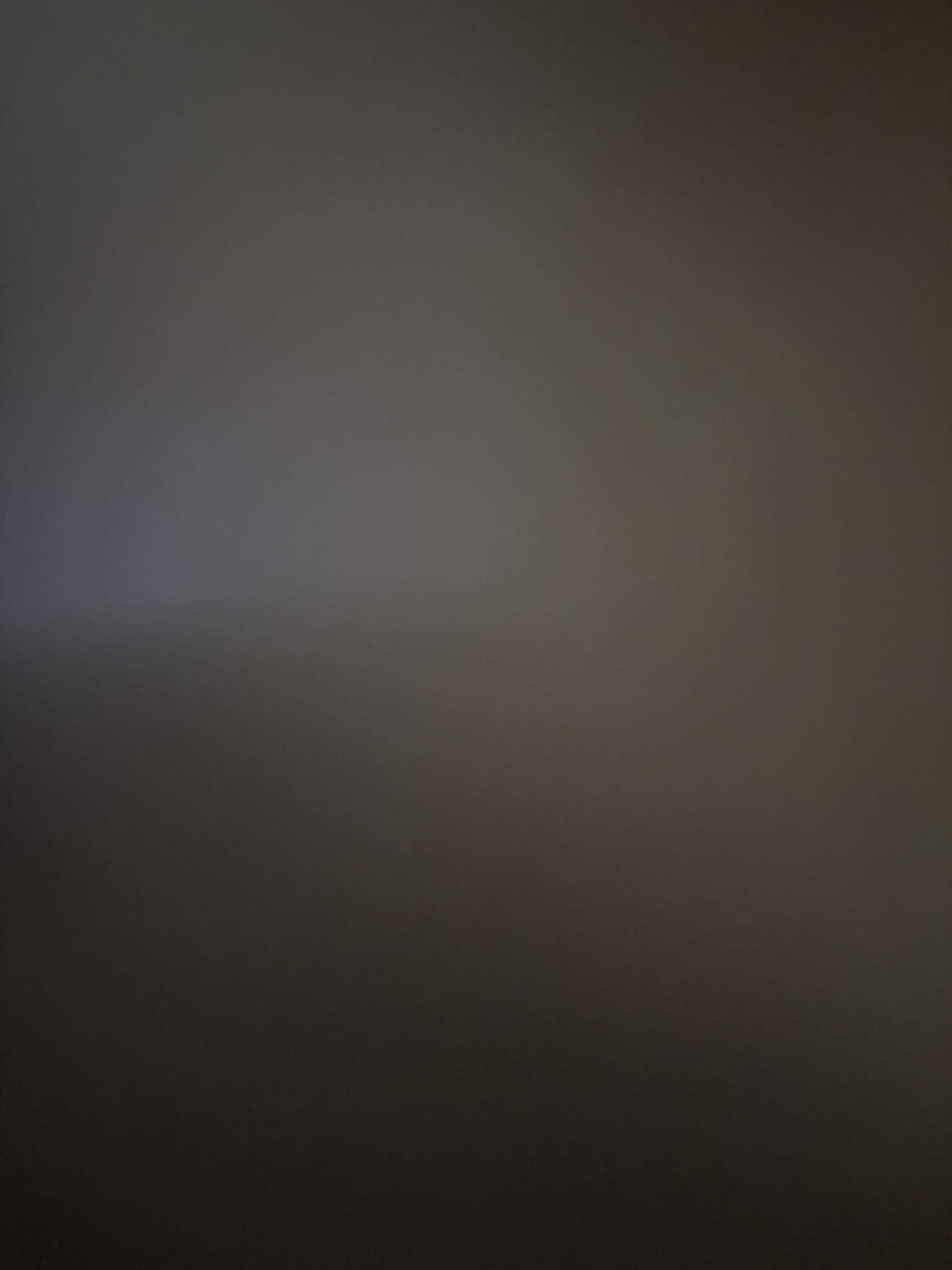 vidaXL Plantenbak verhoogd 160x40x77 cm gegalvaniseerd staal grijs