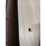 vidaXL Plantenbak Beige 115 x 59 x 76,5 cm Massief Vurenhout