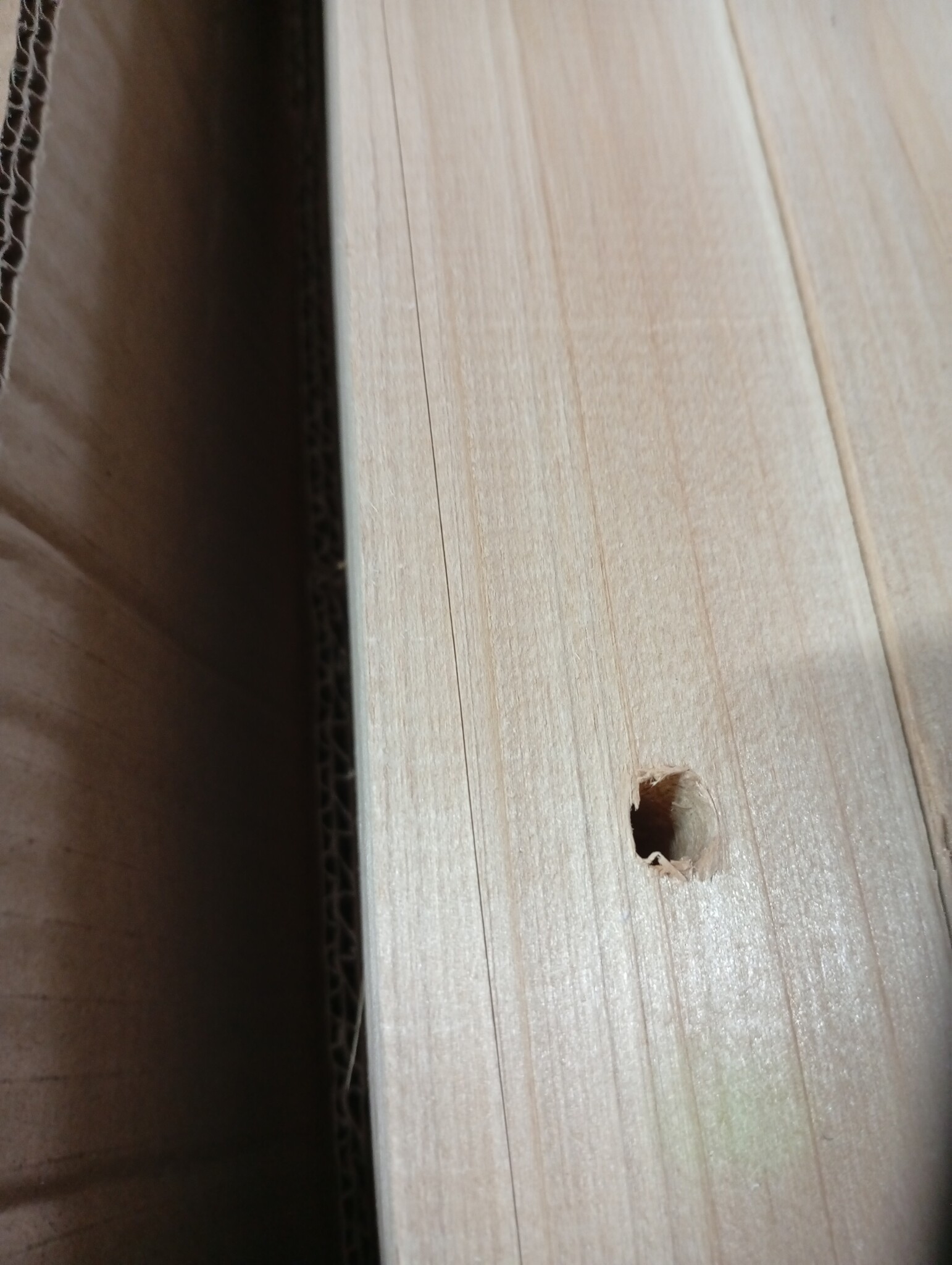 vidaXL Plantenbak Beige 115 x 59 x 76,5 cm Massief Vurenhout