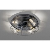 Matzwarte Plafondventilator met Lamp Ø 48 cm - 34% Korting