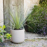 Kunststof Plantenpot Steenlook 33% Korting | Ø 38,5 x H 36,8 cm Kalkbeige
