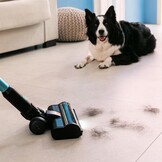 Draadloze Steelstofzuiger met 500W: Ideaal voor Dierenharen (30% Korting)