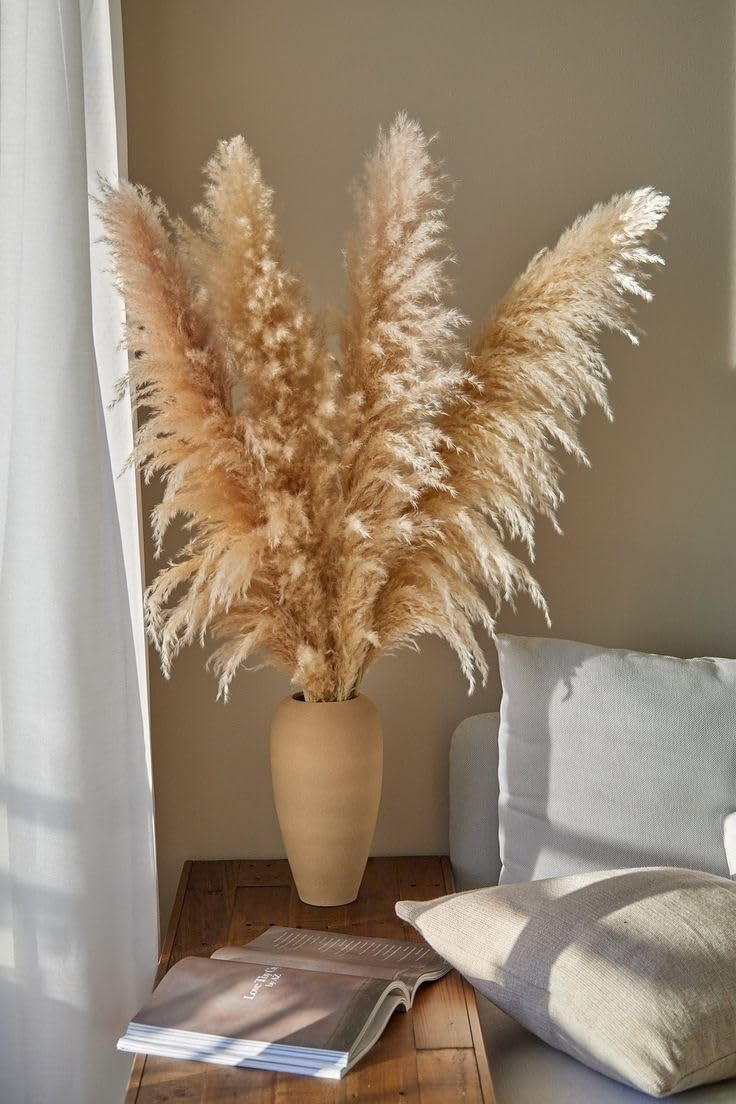 Gedroogd Pampasgras Beige XXL 120 cm - 11 Natuurlijke Pluimen (32% Korting)