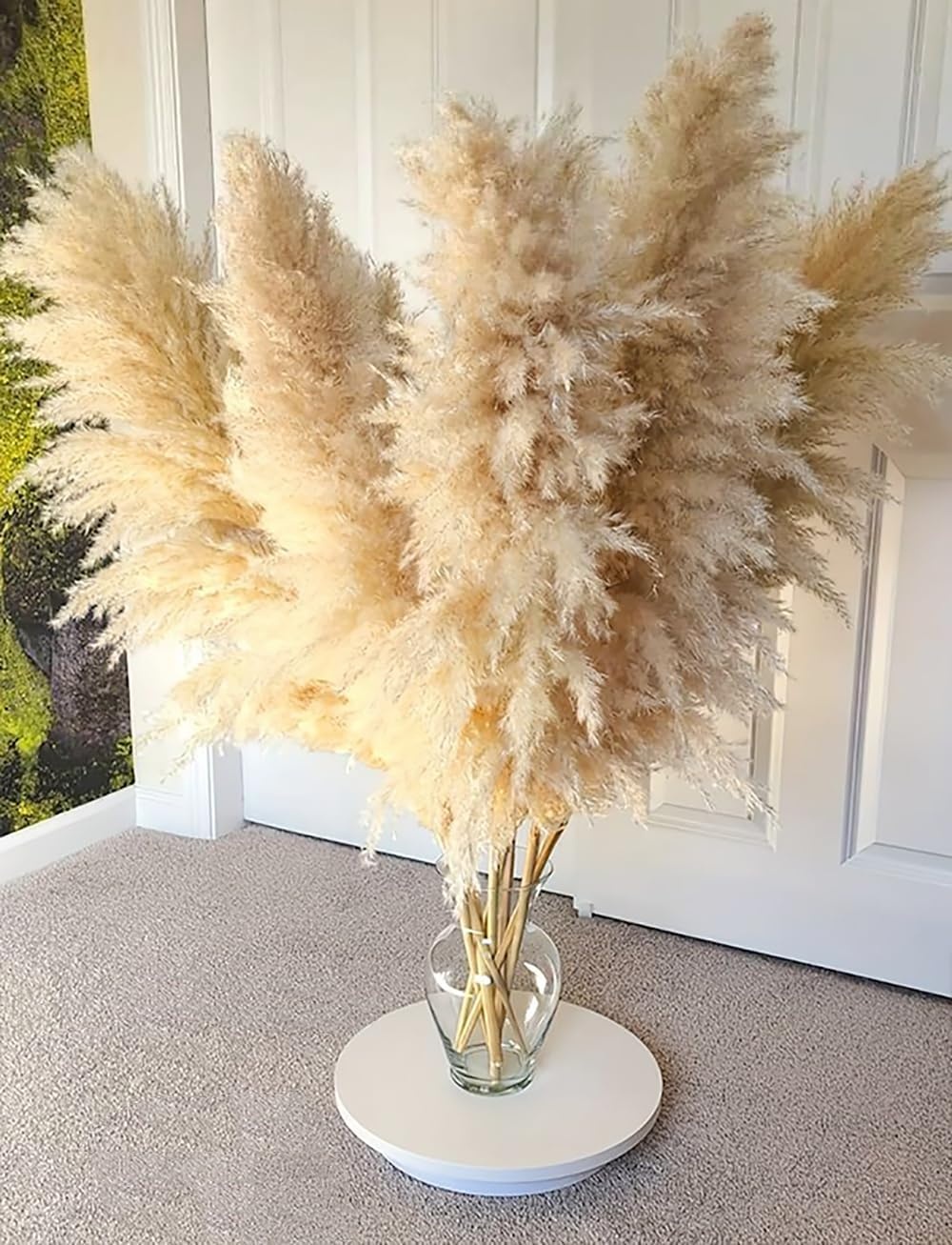 Gedroogd Pampasgras Beige XXL 120 cm - 11 Natuurlijke Pluimen (32% Korting)