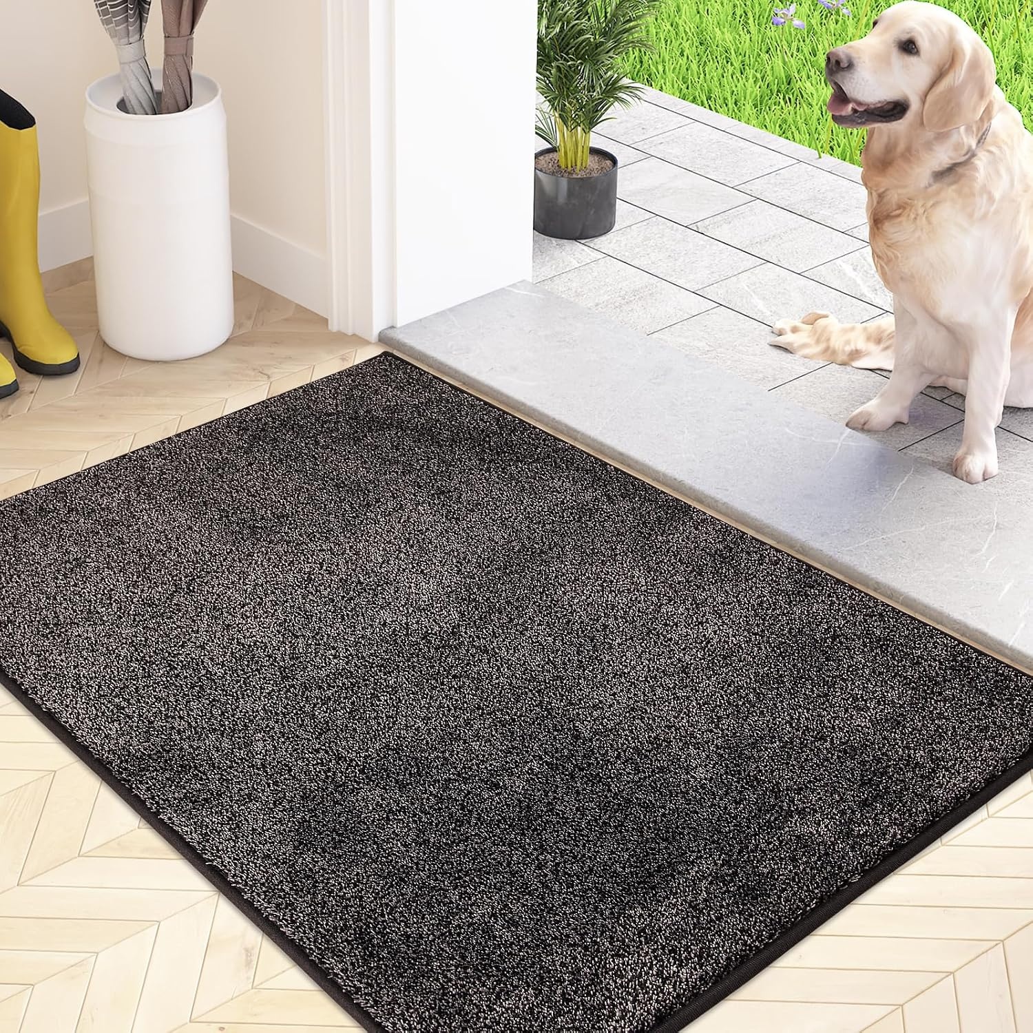 FCSDETAIL Vuilvanger Voetmat, Antislip Machine Wasbare Voetmat, Deurmat met Waterabsorberende en Zachte Microvezels voor Hond, Entree, Deur en Gang