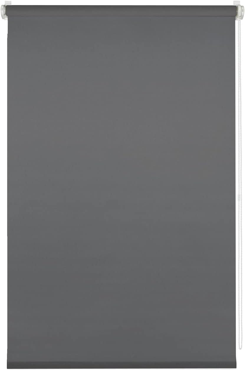 Gardinia Rolgordijn om te klemmen, voor daglicht, ondoorzichtig, alle montageonderdelen inbegrepen, rolgordijn met klemmen, lichtgrijs, 75 x 150 cm (BxH)