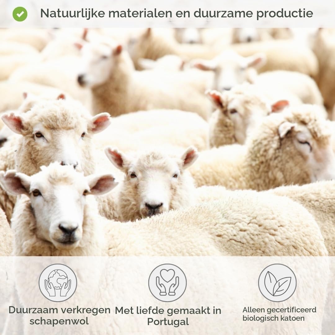 Zizzz Premium Wol Deken – Zachte en Warme Swisswool, Perfect voor 4 Seizoenen - Maat 220 x 240 cm