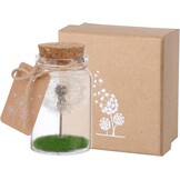 JIZZU Wensvervuller, Echte Paardenbloem In Glas Met Geschenkdoos, Geluksbrenger Kerstcadeaus Geschenken voor Vrouwen & Vriendin, Wensvoucher Beschermengel Handgemaakt, Bloemencadeau