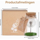 JIZZU Wensvervuller, Echte Paardenbloem In Glas Met Geschenkdoos, Geluksbrenger Kerstcadeaus Geschenken voor Vrouwen & Vriendin, Wensvoucher Beschermengel Handgemaakt, Bloemencadeau