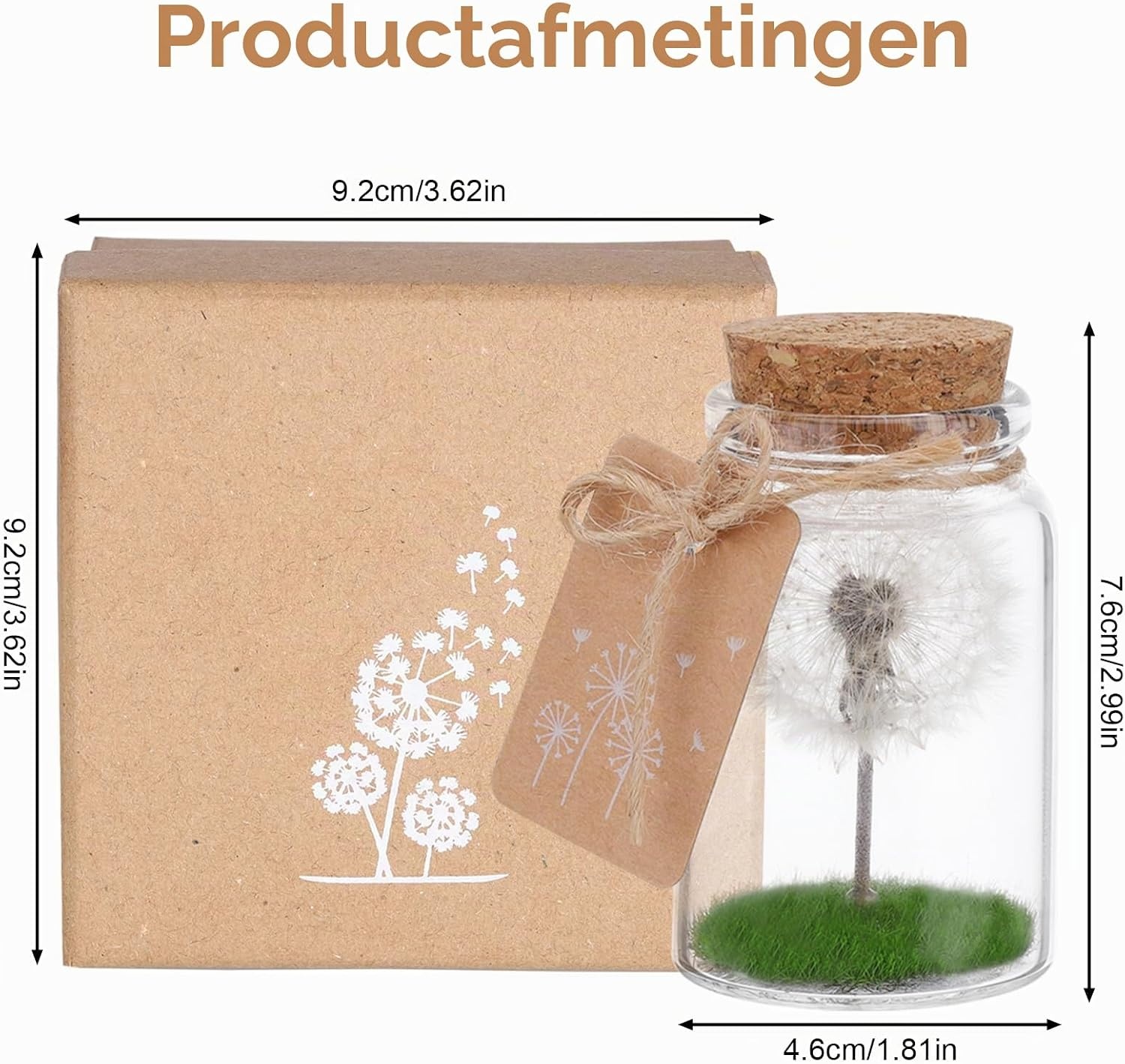 JIZZU Wensvervuller, Echte Paardenbloem In Glas Met Geschenkdoos, Geluksbrenger Kerstcadeaus Geschenken voor Vrouwen & Vriendin, Wensvoucher Beschermengel Handgemaakt, Bloemencadeau