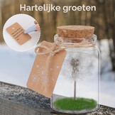 JIZZU Wensvervuller, Echte Paardenbloem In Glas Met Geschenkdoos, Geluksbrenger Kerstcadeaus Geschenken voor Vrouwen & Vriendin, Wensvoucher Beschermengel Handgemaakt, Bloemencadeau