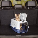 Amazon Basics Bench voor katten, huisdier, twee deuren, bovenlader, blauw, 48,2 x 32 x 25,4 cm (L x B x H) - Maat 48,2 x 32 x 25,4 cm (l x b x h)