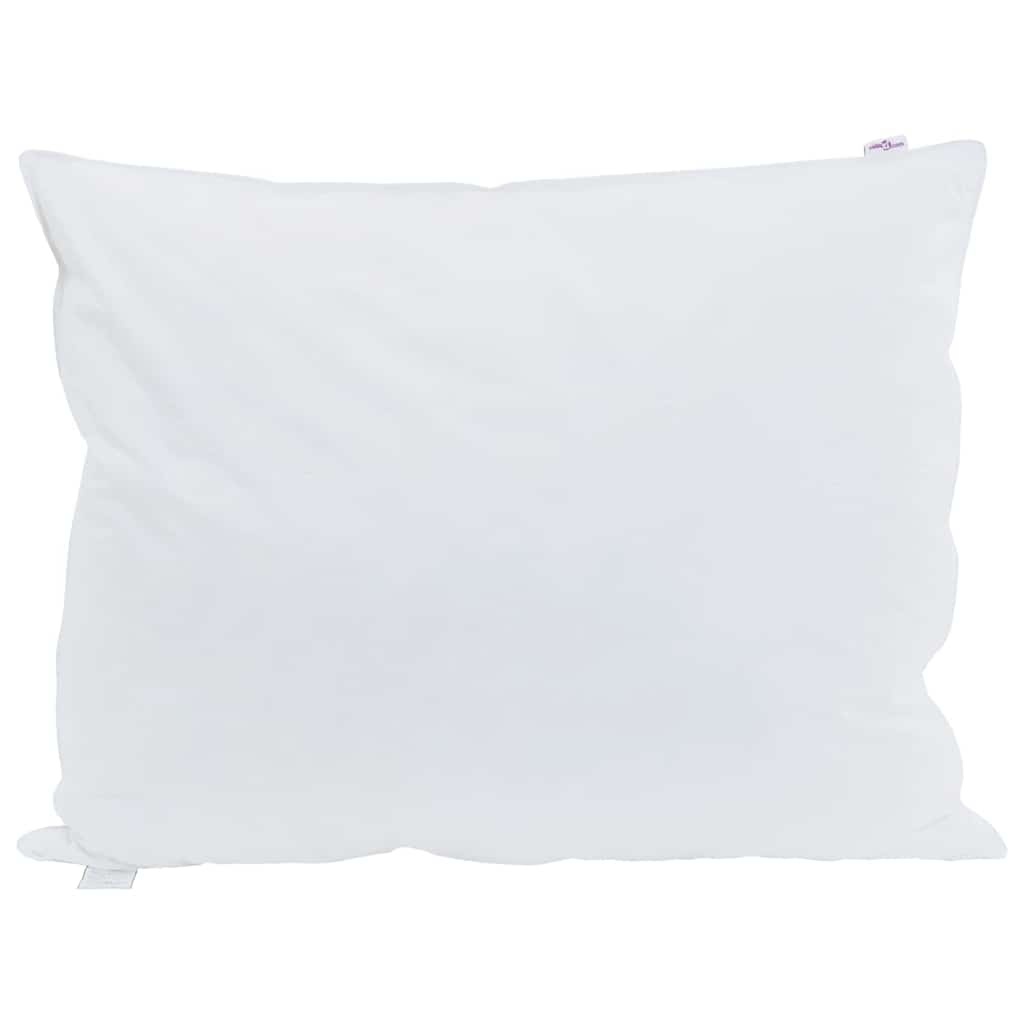 vidaXL Hoofdkussen 2 st 50 x 75 cm Veren Wit