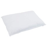 vidaXL Hoofdkussen 2 st 50 x 75 cm Veren Wit