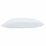 vidaXL Hoofdkussen 2 st 50 x 75 cm Veren Wit