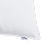 vidaXL Hoofdkussen 2 st 50 x 75 cm Veren Wit