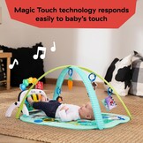 Baby Einstein Farm Explorers 4-in-1 Kickin' Tunes Muzikale Weide Muziek & Taalontdekking Gym, vanaf 0 maanden