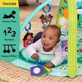 Baby Einstein Farm Explorers 4-in-1 Kickin' Tunes Muzikale Weide Muziek & Taalontdekking Gym, vanaf 0 maanden