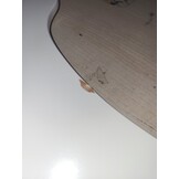 Roba Sit Fun Up hoge stoel incl. afneembare eetplank en beugel, meegroeiend van babystoel tot kinderstoel, houten hoge stoel