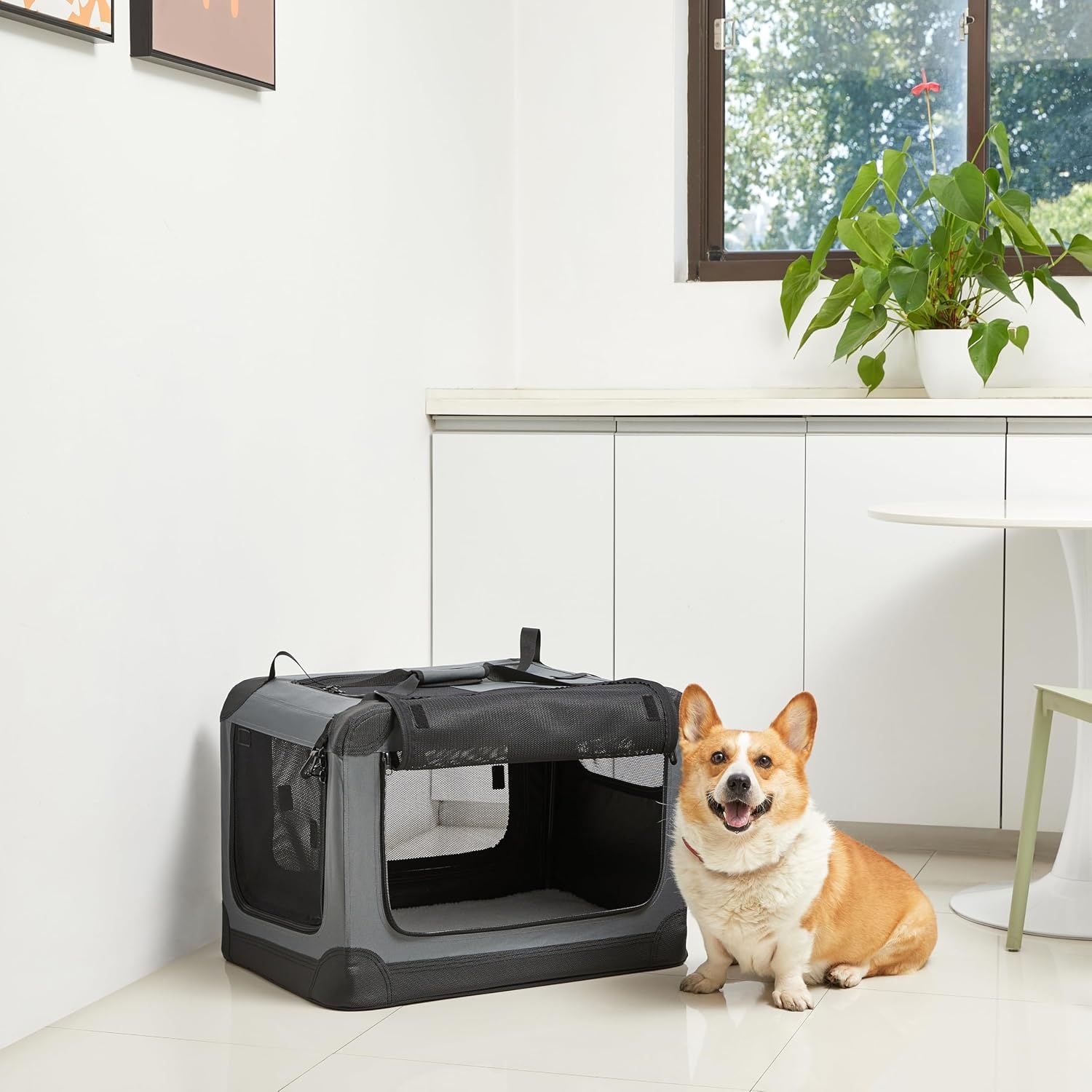 Amazon Basics Draagbare opvouwbare reiskennel met 4 deurtjes en zachte zijkanten, S 66 x 45 x 45cm - Maat S (66 x 46 x 46 cm)