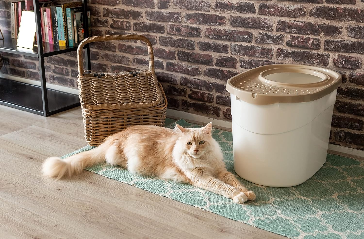 Iris Ohyama, Grote kunststof kattenbak met boveningang, inclusief schep en deksel met ventilatiegaten, L52 x D37,5 x H36,5 cm, BPA-vrij, schephouder, voor katten, TECL-20, wit/beige