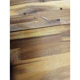 vidaXL Tuinkast met lade met opslag met de deur Bruin 78 x 36.5 x 78cm