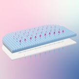 babybay mattress Medicott Wave suitable for model Boxspring XXL Medicott Wave suitable for original model white - Maat geschikt voor origineel model