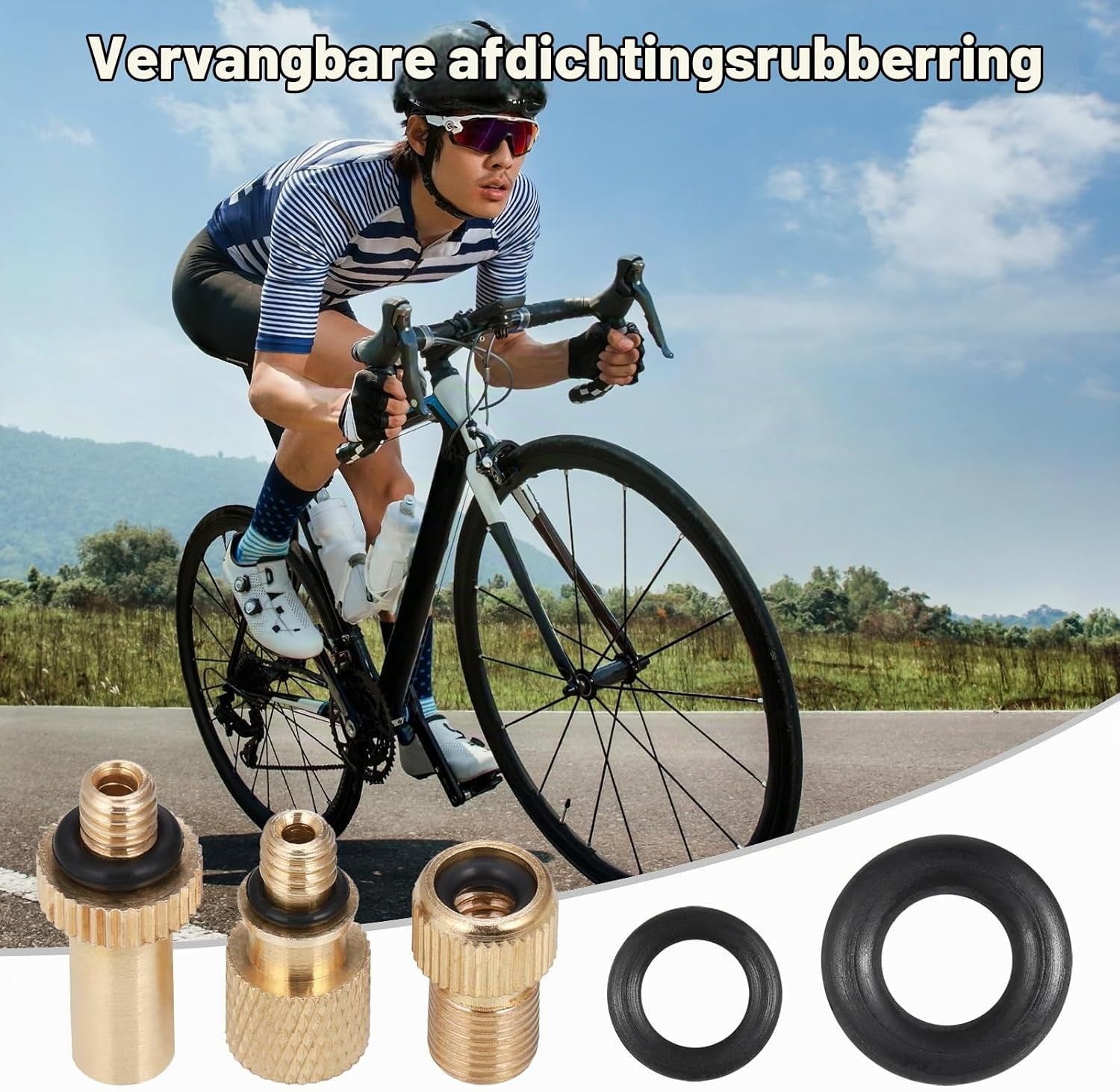 Hejo Fietsventiel Adapterset 33-delig - Messing - Universeel - Goud