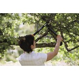 Fiskars PowerGear II Bypass-takkenschaar voor vers hout