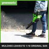 Greenworks 40V Accu Bladblazer en Bladzuiger met 2x 2Ah Accu en Lader - Groen