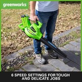 Greenworks 40V Accu Bladblazer en Bladzuiger met 2x 2Ah Accu en Lader - Groen