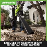 Greenworks 40V Accu Bladblazer en Bladzuiger met 2x 2Ah Accu en Lader - Groen