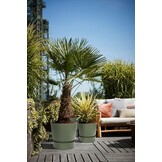 Elho Greenville Round 30cm Bloempot - Blad Groen