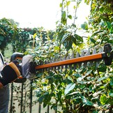 WORX WG264E.9 Accuheggenschaar, 20 V, efficiënte en nauwkeurige snit door hoogwaardig dubbel lemmet, 56 cm zwaardlengte, mespuntbescherming, compatibel met PowerShare, zonder accu en oplader