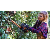 WORX WG264E.9 Accuheggenschaar, 20 V, efficiënte en nauwkeurige snit door hoogwaardig dubbel lemmet, 56 cm zwaardlengte, mespuntbescherming, compatibel met PowerShare, zonder accu en oplader