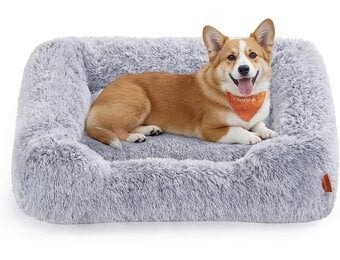Feandrea Hondenbed, 91 x 68 x 18 cm, Afneembare en machinewasbare hoes