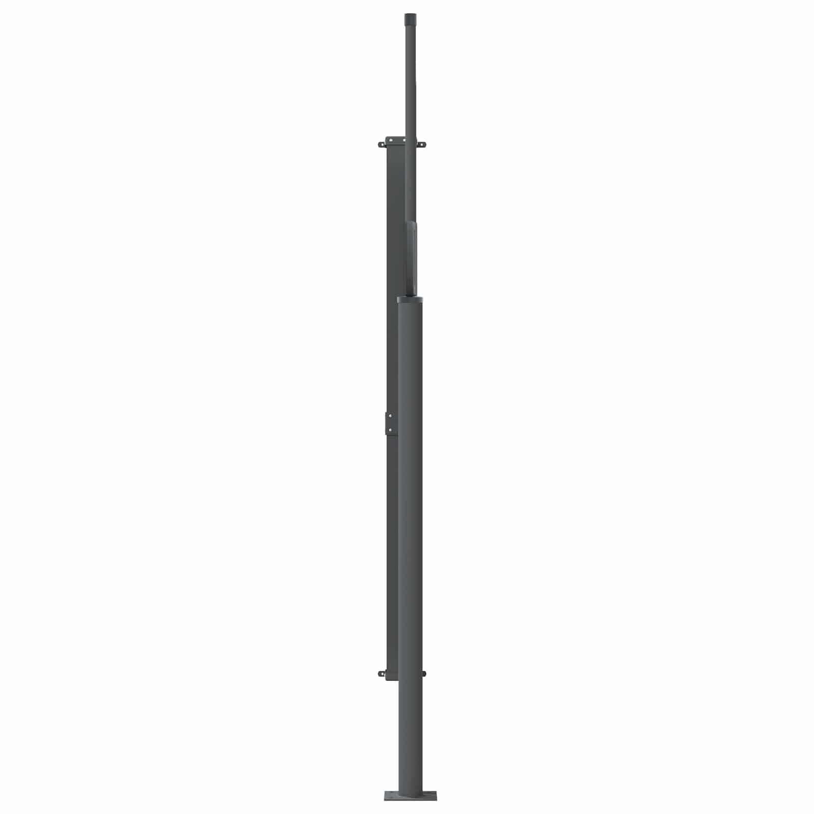vidaXL Uittrekbaar Zijscherm 120 x 300 cm 100% polyester ijzer staal