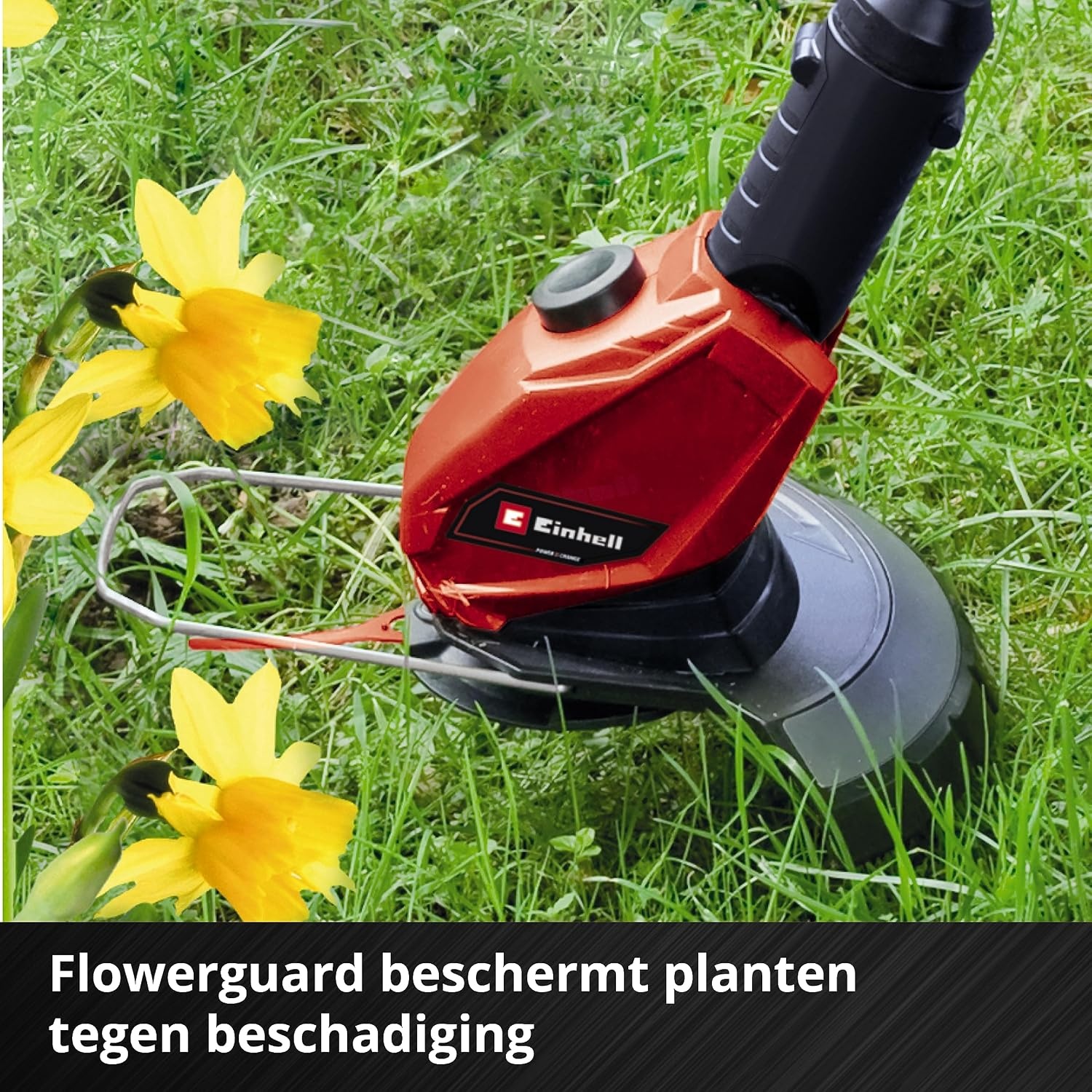 Einhell Accu Grasstrimmer GE-CT 18 Li - 18V - 24 cm - Inclusief 2.0 Ah Accu en Lader - Rood