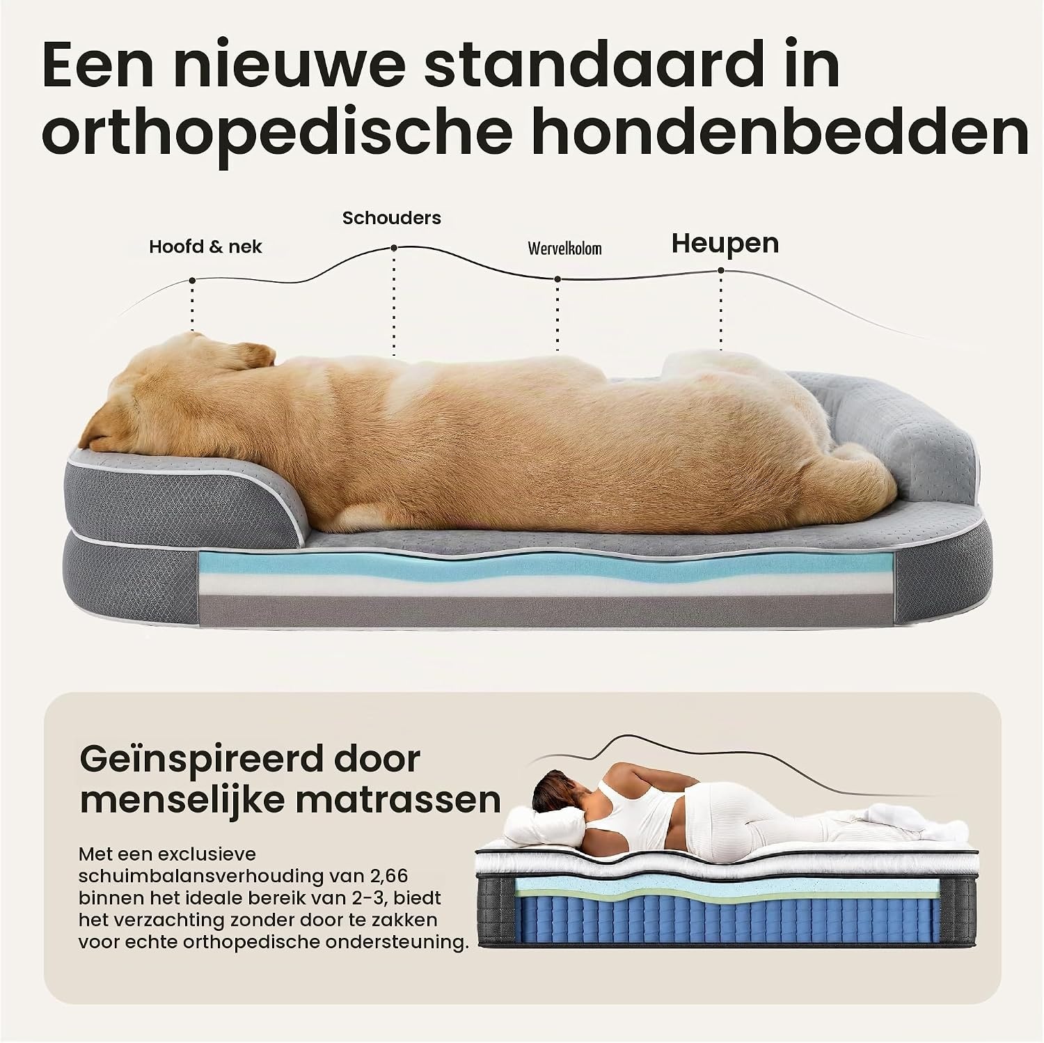 LE SURE RealOrtho™ traagschuim hondenbed groot - orthopedische hondenbank