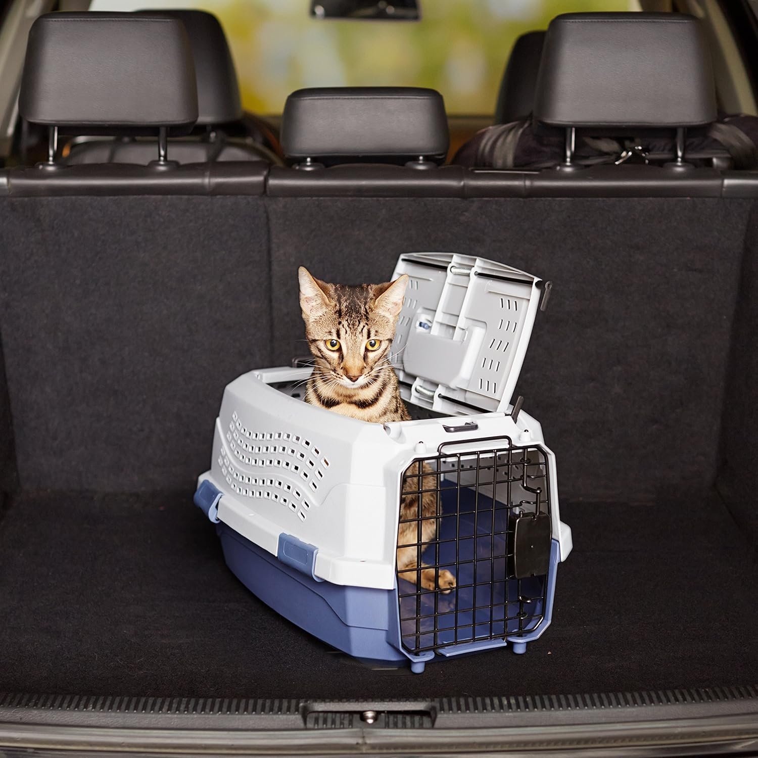 Blauwe Transportbox voor Katten & Kleine Huisdieren | 2 Deuren | 23% Korting