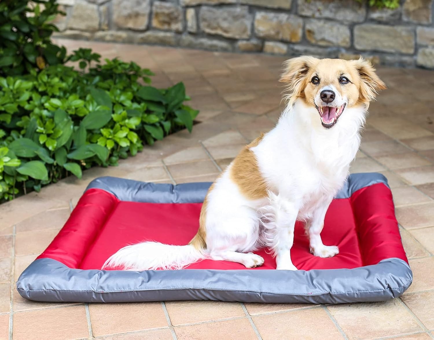 Waterdichte Hond & Kattenmat - Rood - 55x38cm - 53% Korting!