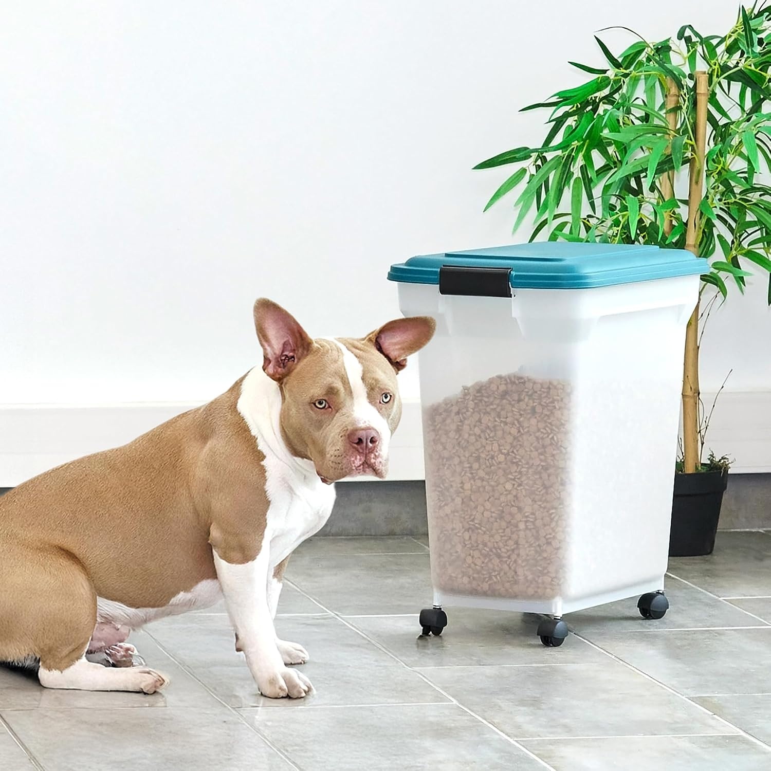Iris Ohyama, Doos, Plastic voedselcontainer met schep en wielen, L46 x D34 x H50,5 cm, Luchtdicht, BPA-vrij, Voor honden en katten, ATS-L, Eendblauw